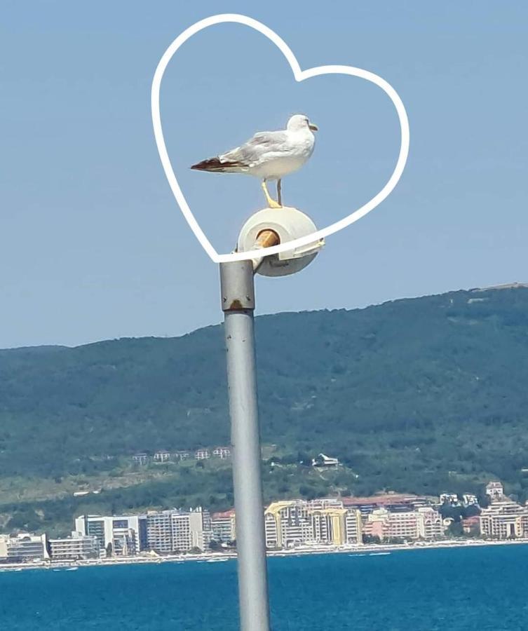 Sea View Private Studio Paradiso B 508 Nesebar Exterior foto